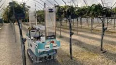 UK Government Launches Robotics Hubs to Boost Tech Adoption