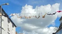 Charity Bra Display Faces Theft Allegations