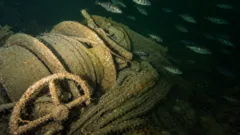 Belgian Ship Found After 46 Years at Sea