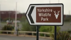 Man Dies in Tiger Encounter at Wildlife Park