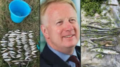Water Company Fined Over Sewage Spill at Popular Site